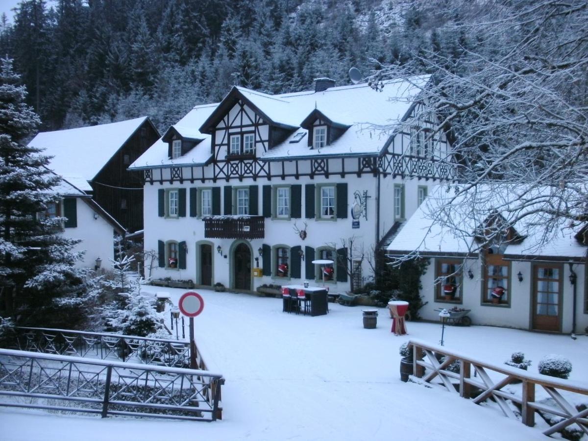 Gasthof Bischofsmuehle Helmbrechts Room photo